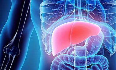 Liver Services
