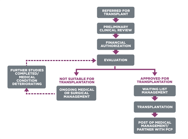 Kidney Transplant Process