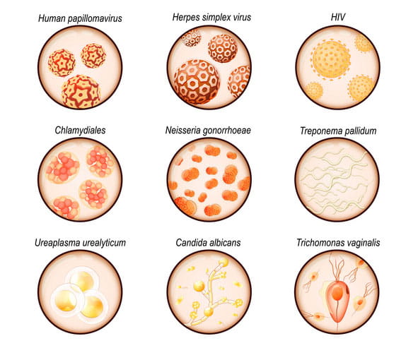 Types Sexually transmitted infection cells